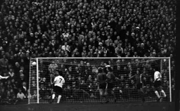 Wolves scrape the post