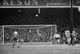 Graham Horn makes a spectacular save