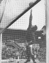 A speculative cross from Ron Futcher deceives everyone for the Town's late winner