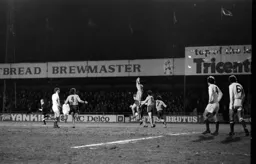 Ron Futcher celebrates