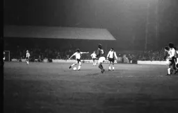 John Ryan tries his luck