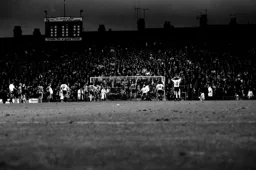 Everyone in the Town box