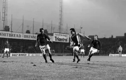 Brian chambers in the action