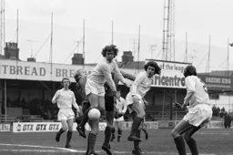 Forest defence wins the day