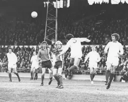 The Forest defence clears its lines