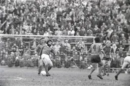 Paul Price tight on former Hatter Derek Hales