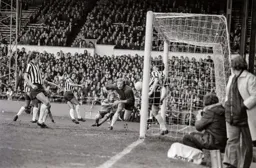 About to hit the net