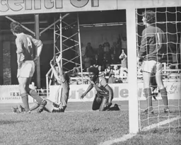 Gary Heale looks delighted with his goal