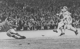 Milija Aleksic pulls off a save from Brighton's Ian Mellor