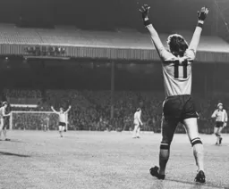 Gary Heale celebrates