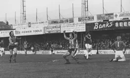 Lil Fuccillo about to be congratulated on his goal