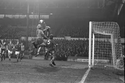 Ron Futcher clips the ear of the keeper