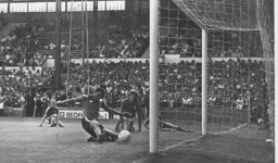 Brian Stein knocks in the third goal