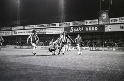 Brian Stein on target