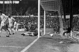 Pick that out of the net