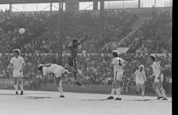 Brian Stein flying high