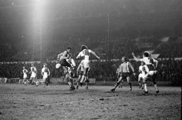 Brian Stein in the thick of things