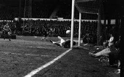 Off the woodwork again