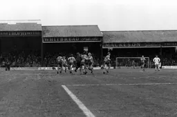 One fan celebrates with the team after Bob Hattons opener