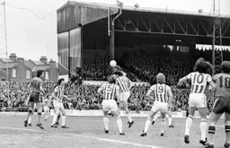 David Moss watches on along with the Albion defence