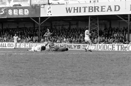 Brian Stein ends up in a heap