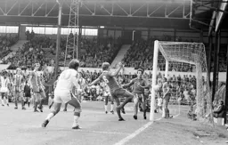 Bob Hatton watches the ball go into the side netting