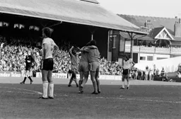 Town celebrate