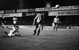 Bob Hatton scores again