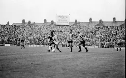 Brian Stein out on his own