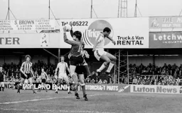 Brian Stein spring heels