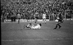 Bob Hatton up ended