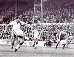 David Moss levels from the spot