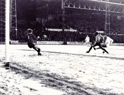 Brian Stein on target again