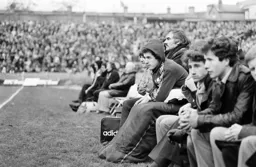 Steve White on the bench