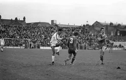 Brian Stein tries his luck