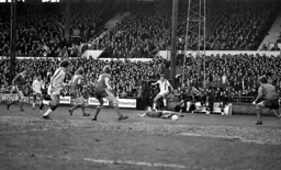 David Moss shoots from distance