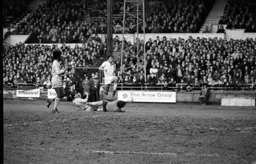 David Moss hurdles the County keeper