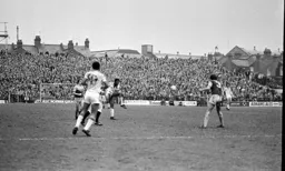 Ricky Hill fires in a shot