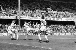 Steve White tries his luck