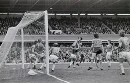 Bob Hatton takes one on the nose