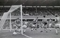 Bob Hatton takes one on the nose