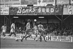 Steve White gets in another header