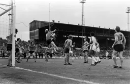 Brian Stein makes a nuisance of himself