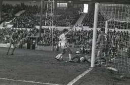 Steve White about the net the equaliser