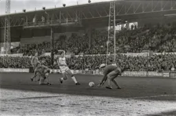 Steve White goes close