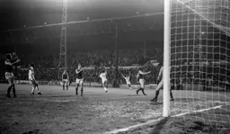 Brian Stein celebrates