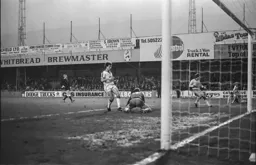 Steve White sees his effort go wide