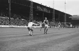 Brian Stein celebrates