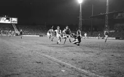 Steve White tries his luck