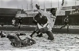 Brian Stein brought to the ground